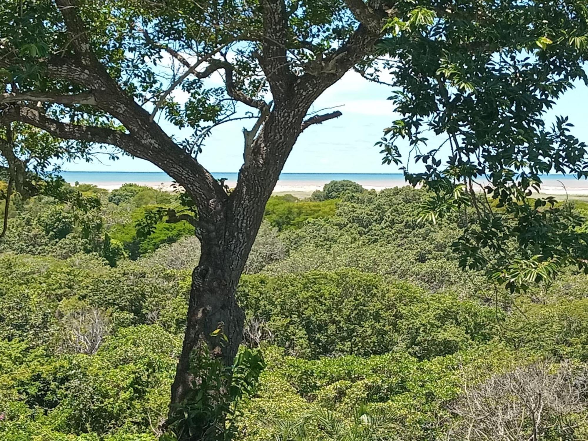 St. Lucia Ocean View Holiday Home Ngoại thất bức ảnh